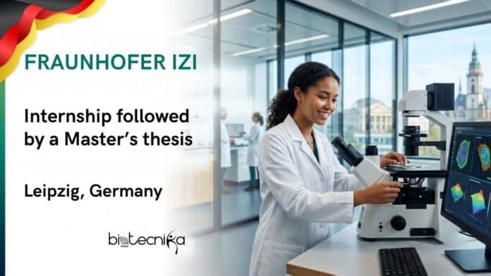 Apply for a Life Sciences Internship at Fraunhofer IZI, Germany. Internship followed by a Master's thesis in cell biology research at Leipzig.