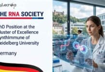 PhD Position at Heidelberg University, Germany | Apply & Join the RNA Society Apply for the PhD Position at Heidelberg University's SynthImmune Cluster. Work on RNA biology, RNA therapeutics, and viral RNA research.