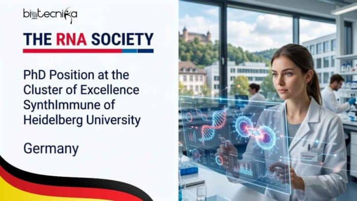 Apply for the PhD Position at Heidelberg University's SynthImmune Cluster. Work on RNA biology, RNA therapeutics, and viral RNA research.