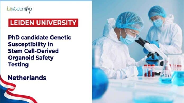 Apply for the Life Sciences PhD Vacancy at Leiden University, Netherlands, in genetic susceptibility and stem cell-derived organoid safety testing.