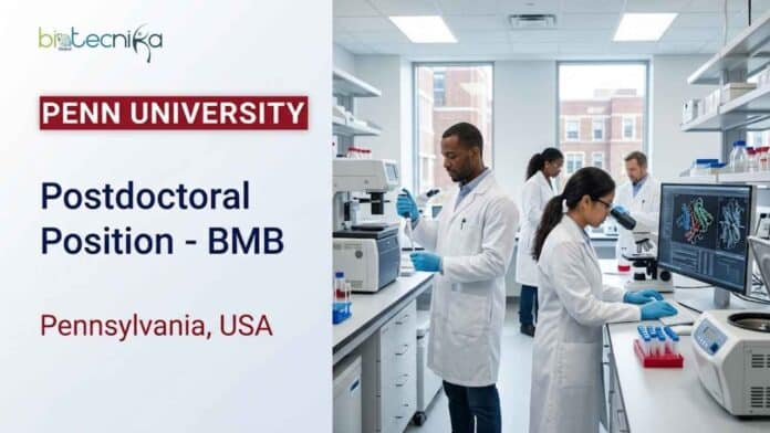 Life sciences postdoctoral position at Penn State University Park in RNA molecular biology. Apply for this full-time research opportunity in Pennsylvania.