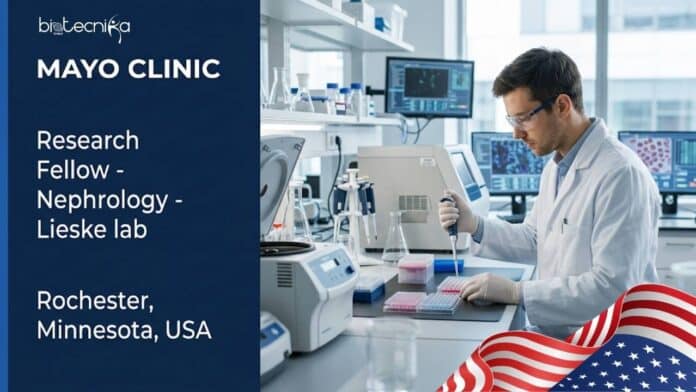 Explore the life sciences research fellow opportunity at Mayo Clinic. Apply for a Research Fellow - PC - Nephrology position in Rochester, Minnesota, USA.