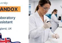 Life Sciences Job at Randox, England | Apply for an Opportunity in the UK Life Sciences Job at Randox in United Kingdom | Apply Now
