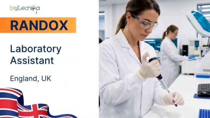 Life Sciences Job at Randox in United Kingdom | Apply Now
