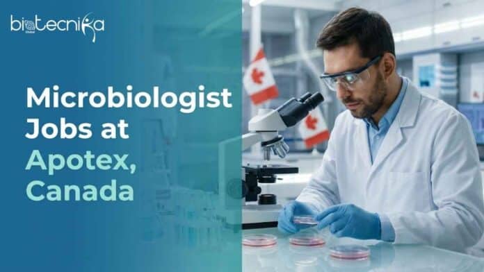 Explore Microbiologist Jobs at Apotex in Richmond Hill. Apply for This Microbiology Position in Canada. Earn Upto CAD 67,715.05.