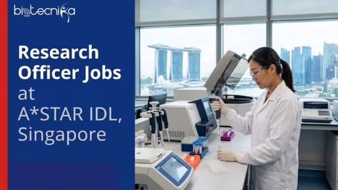 Explore Research Officer Jobs at A*STAR IDL. Join as a Life Sciences Research Officer Today in Singapore! Apply Now.