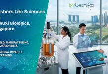 Freshers Life Sciences Job at WuXi Biologics, Singapore | Biochemistry Candidates, Apply Now Freshers Life Sciences Job at WuXi Biologics. Biochemistry & Life Sciences Candidates, Apply Now. Job Opportunity in Singapore.