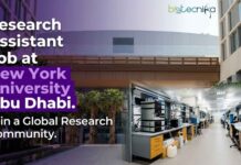 Research Assistant Job at New York University Abu Dhabi | Biology Candidates, Apply Now For Research Fellowship Research Assistant Job at New York University Abu Dhabi. Biology Candidates, Apply Now For Research Fellowship in Abu Dhabi.