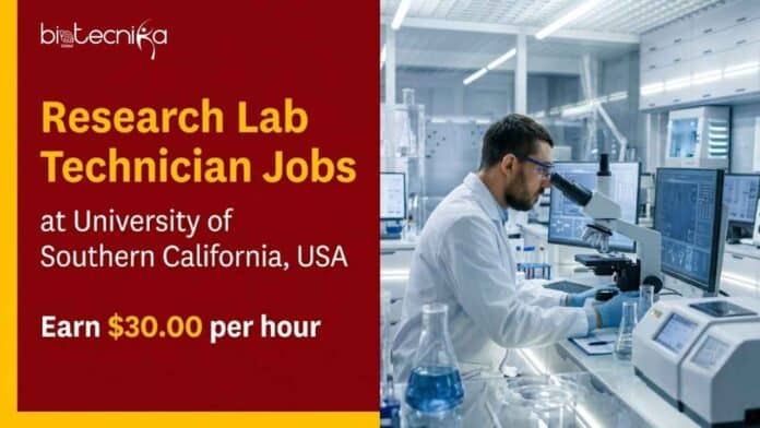 Explore Research Lab Technician Jobs at the University of Southern California. Neuroscience & Alzheimer's Research. Earn $30.00/hr.