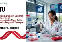 Biotech PhD Vacancy at DTU, Denmark | Apply Now Biotech PhD Vacancy at DTU, Denmark | Apply Now