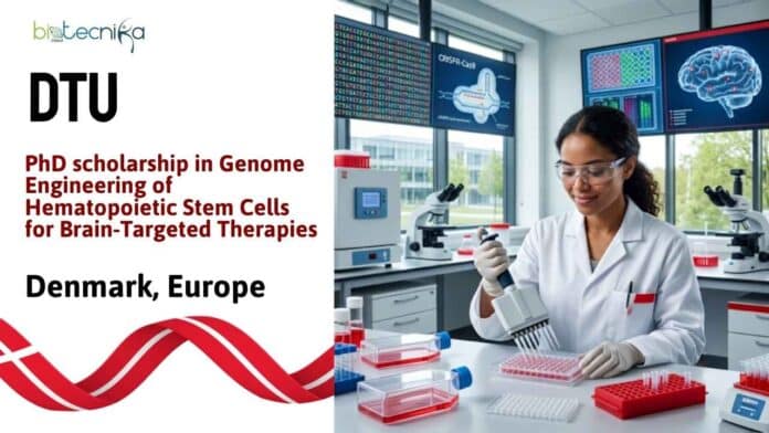 Biotech PhD Vacancy at DTU, Denmark | Apply Now