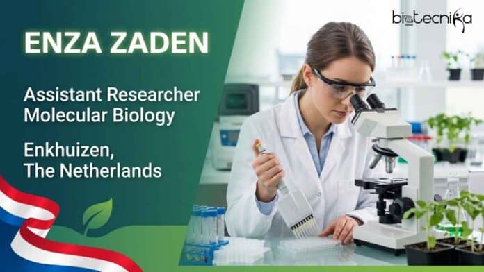 Biotech Research Job at Enza Zaden, Netherlands | Apply Now