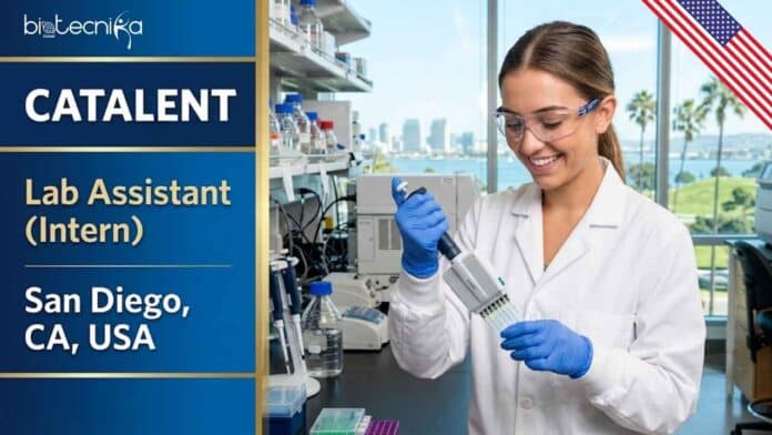 Lab Assistant Internship at Catalent, USA | Apply Now