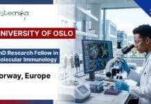 Life Sciences PhD Position at University of Oslo, Norway | Apply for an Opportunity in Molecular Immunology Life Sciences PhD Position at University of Oslo, Norway | Apply Now