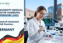 Biology PhD Vacancy at University Medical Center Hamburg-Eppendorf (UKE), Germany | Apply Now & Earn Upto €91,100 Biology PhD Vacancy at University Medical Center Hamburg-Eppendorf (UKE), Germany | Apply Now