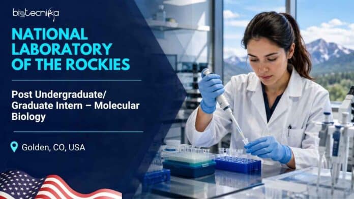 Life Sciences Internship at National Laboratory of the Rockies, USA | Apply Now