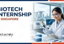 Biotech Internship at GenScript, Singapore | Apply Online Explore Biotechnologist Jobs through a Biotech Internship in Singapore at GenScript. Apply Now for This Exciting Internship.