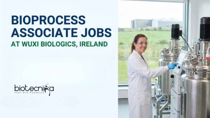 Explore Bioprocess Associate Jobs at WuXi Biologics in Dundalk. Join the Biopharmaceutical Sector and Advance Your Career in Biotechnology.