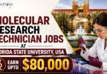 Molecular Research Technician Jobs at Florida State University, USA | Life Science Candidates, Apply Now & Earn Upto $80,000 Molecular research technician jobs at Florida State University: explore eligibility, viral-vector duties, salary range, and how to apply.