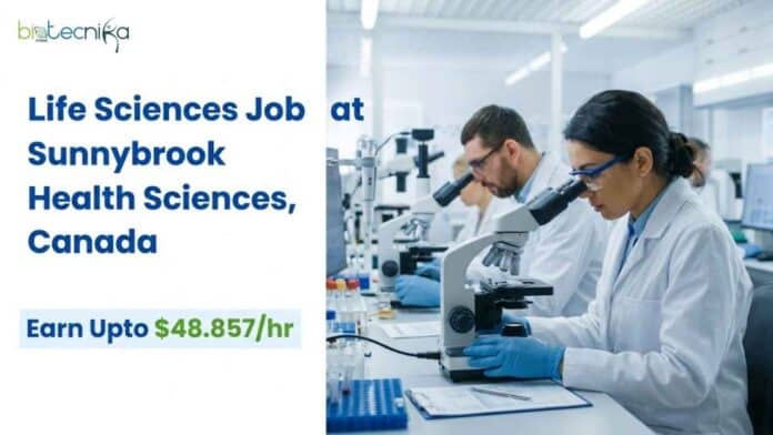 Explore Project Manager Jobs at Sunnybrook Health Sciences Centre, Canada. Apply for This Life Sciences Job Today & Earn Upto $48.857/hr.