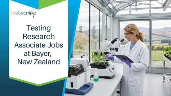 Explore Testing Research Associate Jobs at Bayer, Contributing To Innovative Vegetable Research in New Zealand.