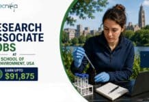 Research Associate Jobs at Yale School of the Environment, USA | Biology Candidates, Apply Now & Earn Upto $91,875 Research Associate Jobs at Yale School of the Environment. Biology Candidates, Apply Now & Earn Upto $91,875. Research Opportunity in the USA