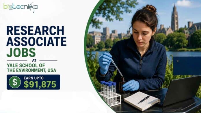 Research Associate Jobs at Yale School of the Environment. Biology Candidates, Apply Now & Earn Upto $91,875. Research Opportunity in the USA