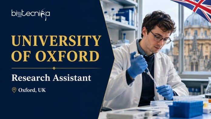Research Assistant in Ovarian Biology at the University of Oxford | Apply Now