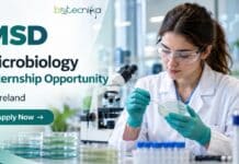 Microbiology Internship Opportunity at MSD, Ireland | Apply Now Microbiology Internship Opportunity at MSD, Ireland | Apply Now