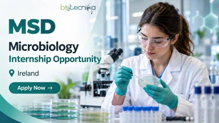 Microbiology Internship Opportunity at MSD, Ireland | Apply Now