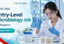 Entry-Level Microbiology Job at WuXi XDC in Singapore | Apply Now Entry-Level Microbiology Job at WuXi XDC in Singapore | Apply Now
