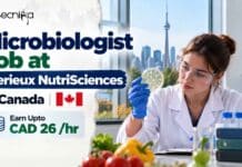 Microbiologist Job at Merieux NutriSciences, Canada | Apply online and Earn Upto CAD 26 /hr Explore a Microbiologist Job in Canada with Merieux NutriSciences in Markham. Apply for the Microbiologist I role paying CAD 26/hour.