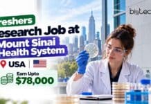 Freshers Research Job at Mount Sinai Health System, USA | Apply Online For Associate Researcher Position & Earn Upto $78,000 Mount Sinai Associate Researcher job in New York: apply for a neuroscience lab role. Salary range listed: $78,000 annually.