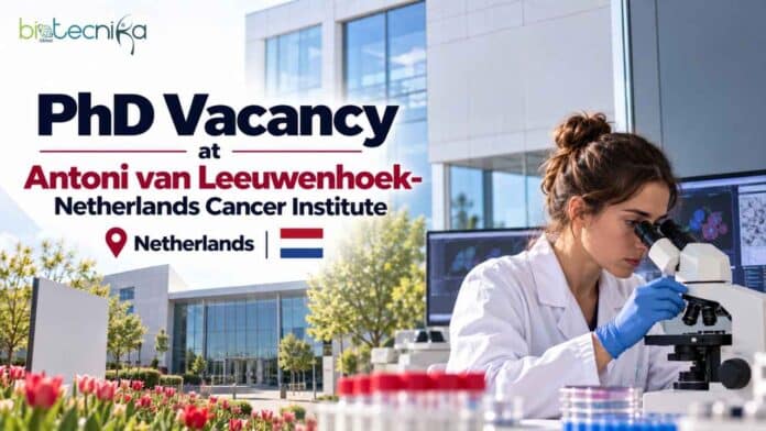 PhD Vacancy at Antoni van Leeuwenhoek-Netherlands Cancer Institute. T-cell epigenetics role, eligibility & documents. Earn Upto € 4,629.