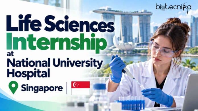 Apply for the NUH Life Sciences Internship for Jan–Jun 2027 in Singapore. Support brain tumour registry data and observe oncology care.