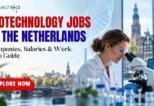 Biotechnology Jobs in the Netherlands: Companies, Salaries & Work Visa Guide Biotechnology Jobs in the Netherlands: Companies, Salaries & Work Visa Guide
