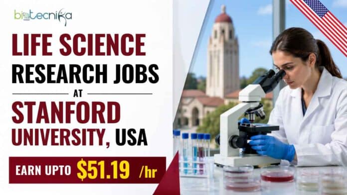 Life Science Research Jobs at Stanford: explore a one-year oncology research role in California, paying $27.42-$51.19 an hour.