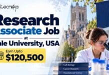 Research Associate Job at Yale University, USA | Biological Sciences Candidates, Apply Now & Earn Upto $120,500 Research Associate Job at Yale University, USA. Biological Sciences. Earn Upto $120,500. Explore qualifications, salary, and duties.