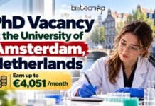 PhD Vacancy at the University of Amsterdam, Netherlands | Life Sciences Candidates, Apply Online and Earn up to €4,051 /month University of Amsterdam PhD Vacancy in gut microbiome–immune research for life sciences graduates. Earn up to €4,051 /month.