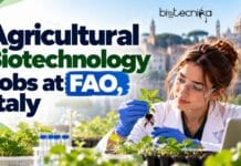 Agricultural Biotechnology Jobs at FAO, Italy | Apply Online For Young Professional Officer Position Agricultural Biotechnology Jobs at FAO in Rome: review eligibility, skills and application steps for the Young Professional Officer role.