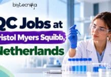 QC Jobs at Bristol Myers Squibb, Netherlands | Apply Online QC Analytical Job at Bristol Myers Squibb in Leiden: explore eligibility, responsibilities, and apply online for this vacancy.