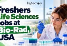 Freshers Life Sciences Jobs at Bio-Rad, USA | Apply Now For Production Chemist Role Freshers Life Sciences Jobs at Bio-Rad, USA. Apply Now For Production Chemist Role. GMP manufacturing formulation.