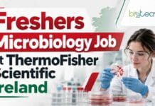 Freshers Microbiology Job at ThermoFisher Scientific, Ireland | Apply Online For Scientist Role Freshers Microbiology Job at ThermoFisher Scientific, Ireland. Review Scientist I eligibility and key duties. Apply Now.